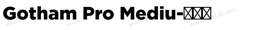 Gotham Pro Mediu字体转换